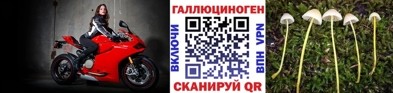 Галлюциногенные грибы мухоморы  Фатеж 